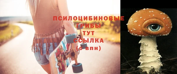 индика Нефтекумск