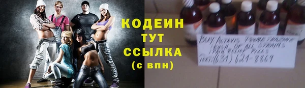 индика Нефтекумск