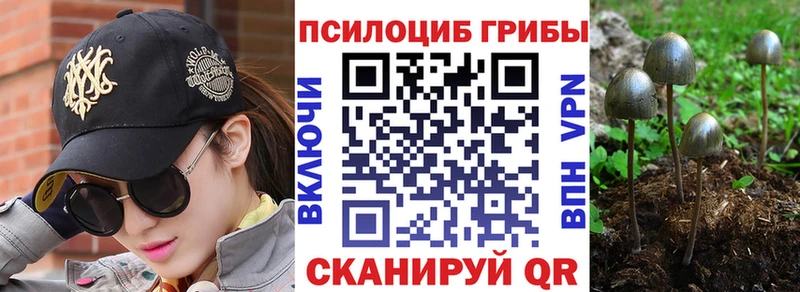 Псилоцибиновые грибы Psilocybine cubensis  цена наркотик  ОМГ ОМГ зеркало  Нижний Ломов 